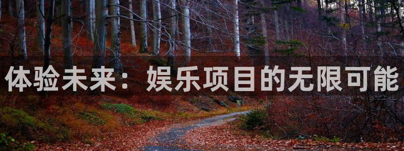 恒盛娱乐登陆：体验未来：娱乐项目的无限可能