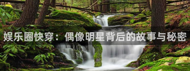 恒盛娱乐：娱乐圈快穿：偶像明星背后的故事与秘密
