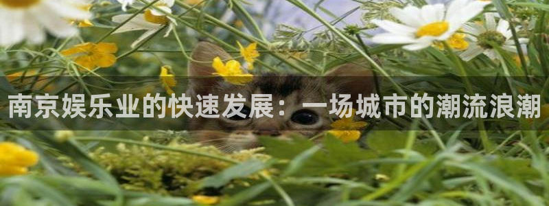 恒盛娱乐登陆：南京娱乐业的快速发展：一场城市的潮流浪潮