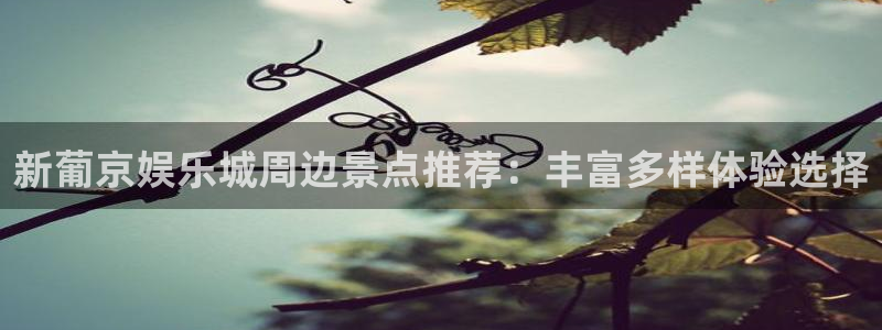 恒盛娱乐下载：新葡京娱乐城周边景点推荐：丰富多样体验选择