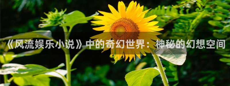 恒盛娱乐官网：《风流娱乐小说》中的奇幻世界：神秘的幻想空间