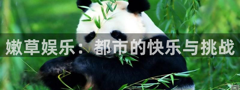 恒盛娱乐登陆：嫩草娱乐：都市的快乐与挑战