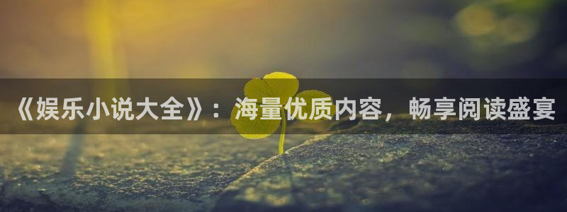 恒盛娱乐登录：《娱乐小说大全》：海量优质内容，畅享阅读盛宴